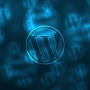 Wordpress prednosti i mogućnosti